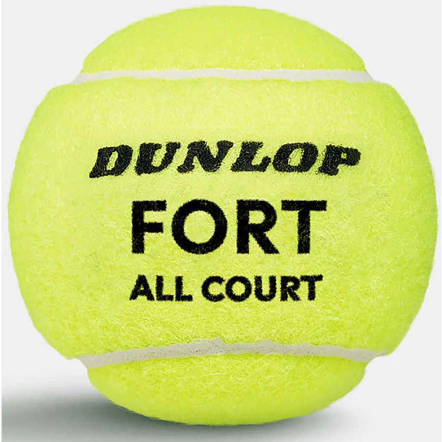 Dunlop TB Fort All Court TS 4 Pet