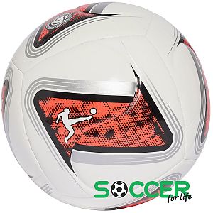 Adidas DFL voetbal