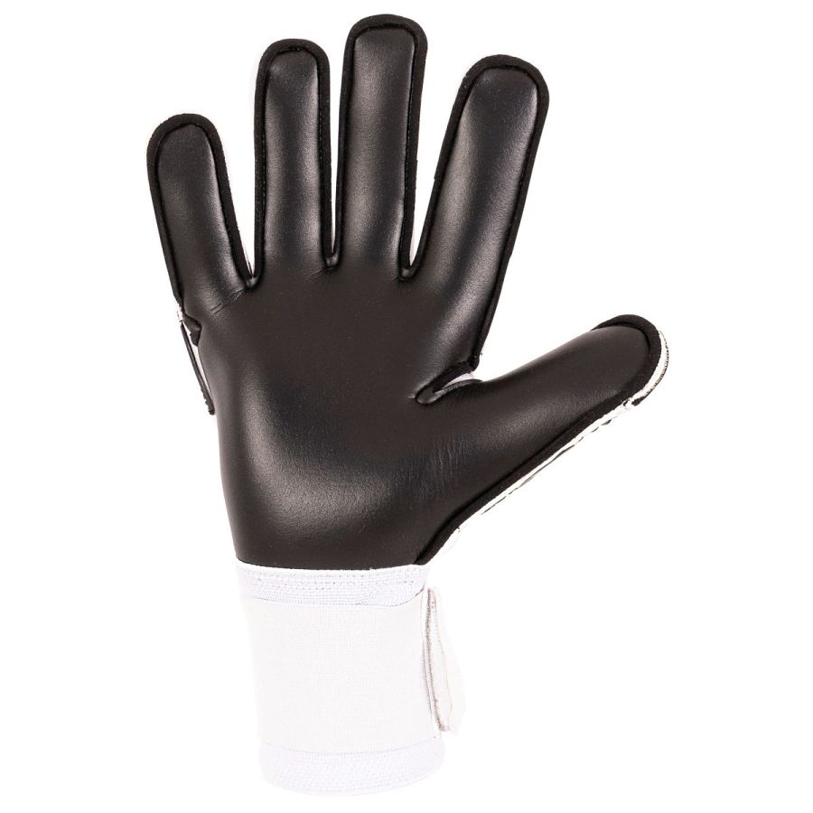 Stanno Volare Match III